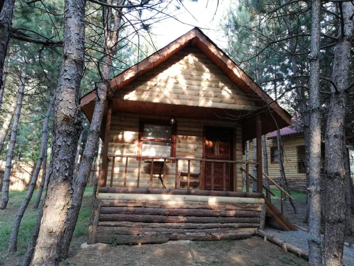 Cam Pinari Doga Evleri Villa Mengen Exterior photo
